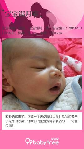 journal_insert_pic_1151160164