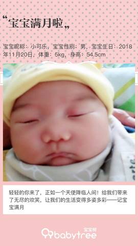 journal_insert_pic_1151328521