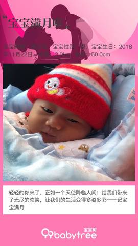 journal_insert_pic_1151837149