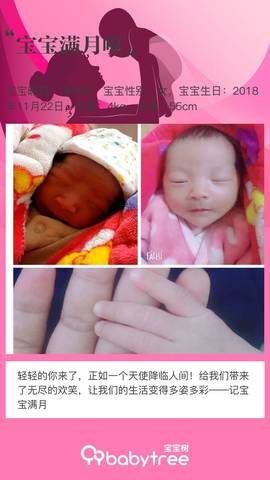 journal_insert_pic_1152441835
