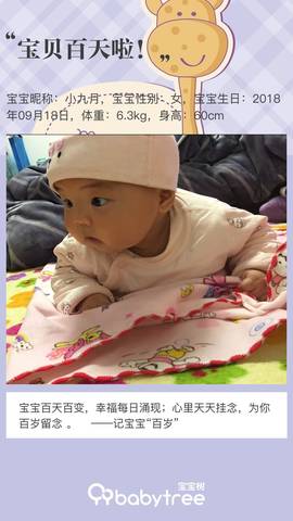 journal_insert_pic_1152256821