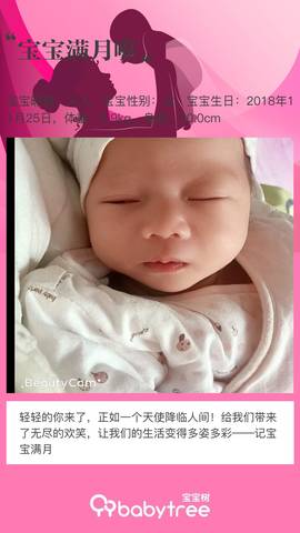 journal_insert_pic_1152442764