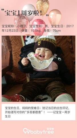 journal_insert_pic_1152379215