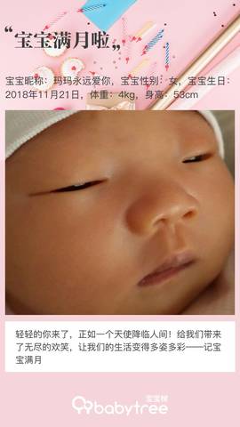 journal_insert_pic_1152905795