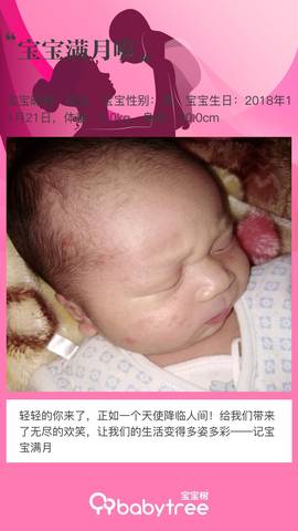 journal_insert_pic_1152938102