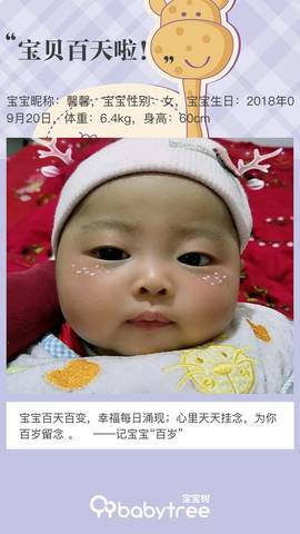 journal_insert_pic_1153350435