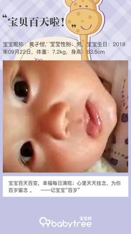 journal_insert_pic_1154061534