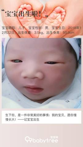 journal_insert_pic_1154015422