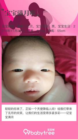 journal_insert_pic_1154883115