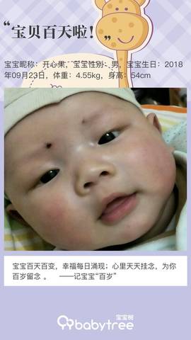 journal_insert_pic_1155837138