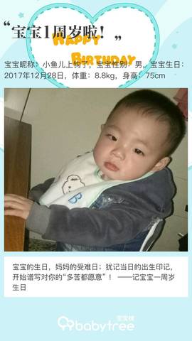 journal_insert_pic_1155881437