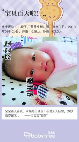journal_insert_pic_1156328954