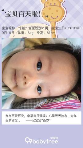 journal_insert_pic_1156832495