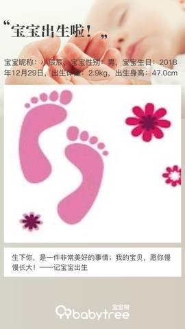 journal_insert_pic_1156895923