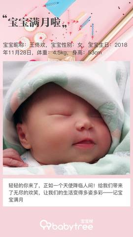 journal_insert_pic_1156988444