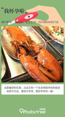 journal_insert_pic_1157397058