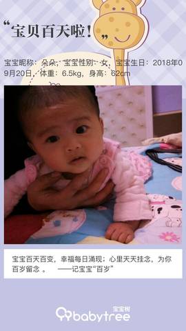 journal_insert_pic_1157888220