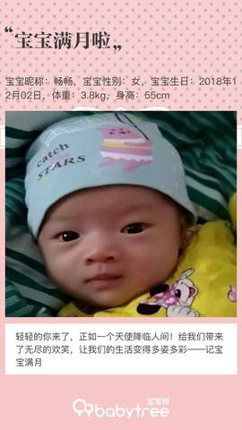 journal_insert_pic_1158000113