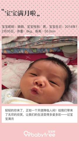 journal_insert_pic_1158020598