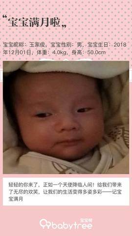 journal_insert_pic_1159072551