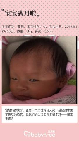 journal_insert_pic_1159663441