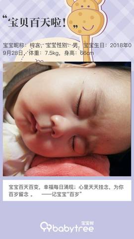 journal_insert_pic_1160253275