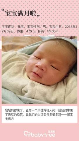 journal_insert_pic_1161666260