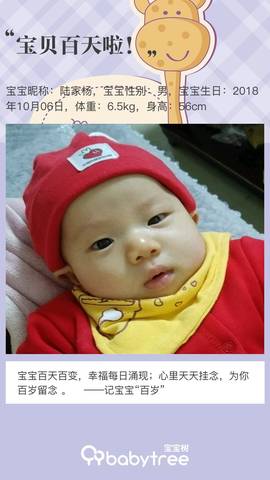 journal_insert_pic_1162024128