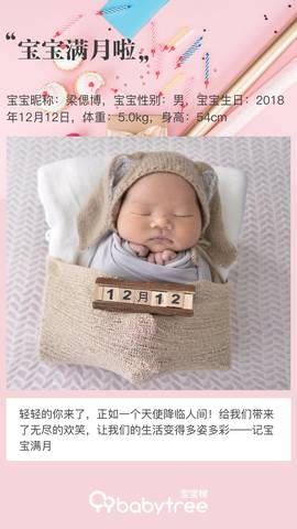 journal_insert_pic_1162030939