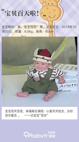 journal_insert_pic_1162815035
