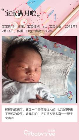 journal_insert_pic_1162925349
