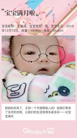 journal_insert_pic_1163353237