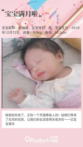 journal_insert_pic_1163611604