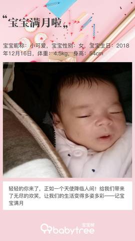 journal_insert_pic_1163955742