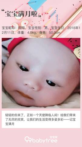 journal_insert_pic_1164477831