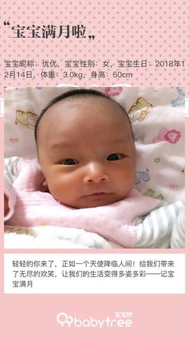 journal_insert_pic_1164592622