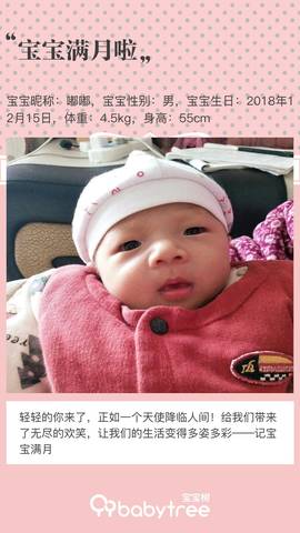 journal_insert_pic_1164592630