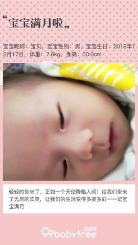journal_insert_pic_1164398779