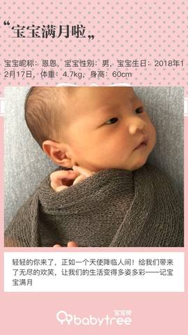 journal_insert_pic_1165800662