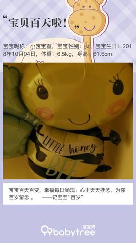 journal_insert_pic_1165530208