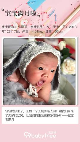 journal_insert_pic_1166033410