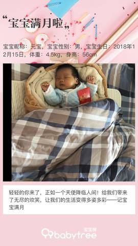 journal_insert_pic_1166126293