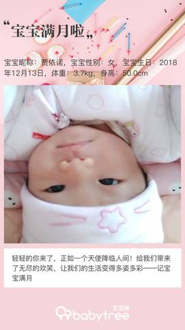 journal_insert_pic_1166127009