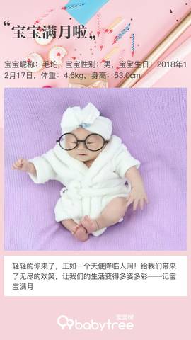 journal_insert_pic_1166794283