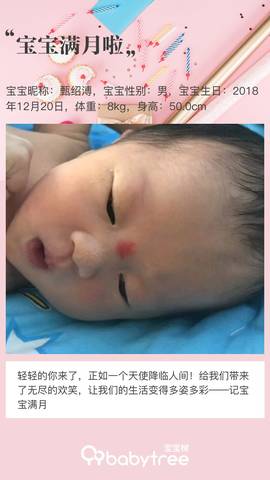 journal_insert_pic_1166454139