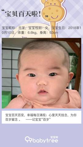 journal_insert_pic_1167204410