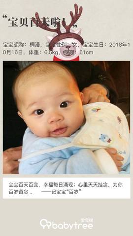 journal_insert_pic_1167476282