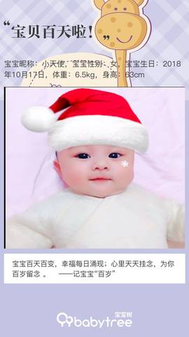 journal_insert_pic_1168142793