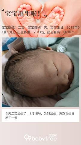 journal_insert_pic_1168049172