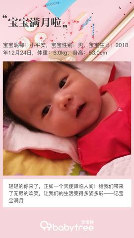 journal_insert_pic_1168261481